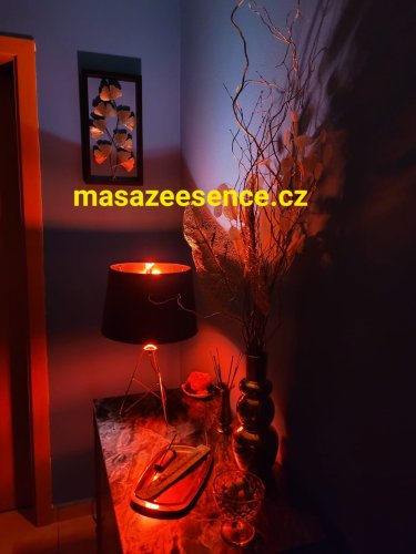 Spolupráce